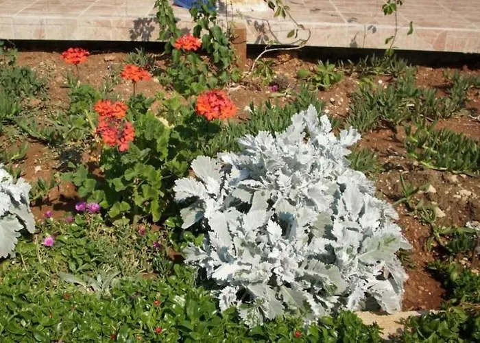 In With Terrace, Air Condition, Wifi, Washing Machine דירה פירובאץ